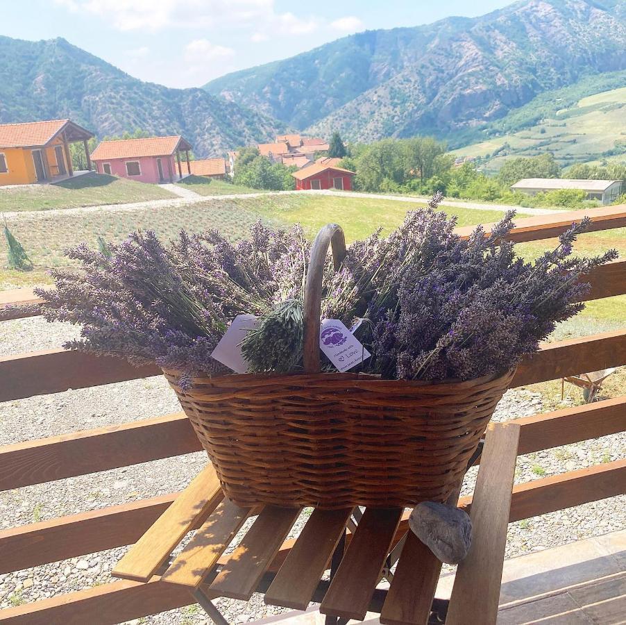 Azienda Agricola Saint Hubert Cantalupo Ligure Екстериор снимка