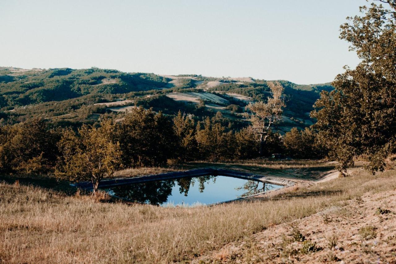 Azienda Agricola Saint Hubert Cantalupo Ligure Екстериор снимка