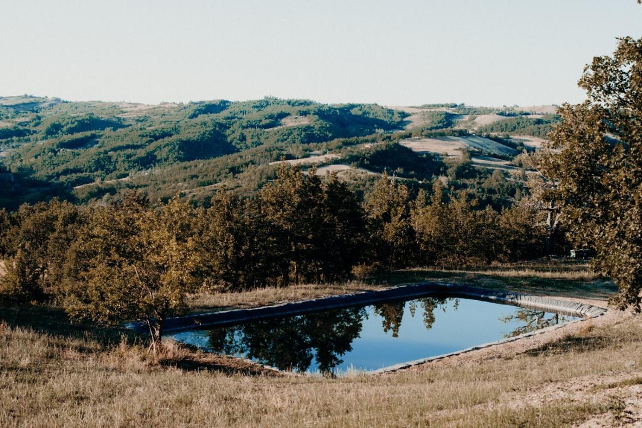 Azienda Agricola Saint Hubert Cantalupo Ligure Екстериор снимка